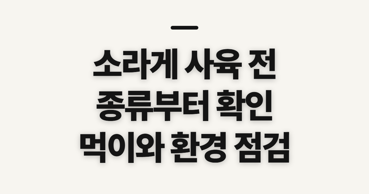 소라게, 종류와 사육 가능성을 먼저 확인할 점