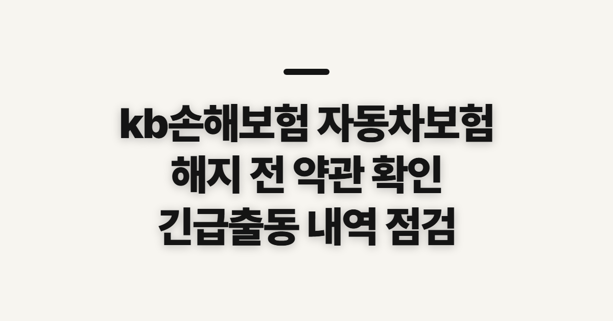kb손해보험 자동차보험, 해지 전 다이렉트 약관 확인하기