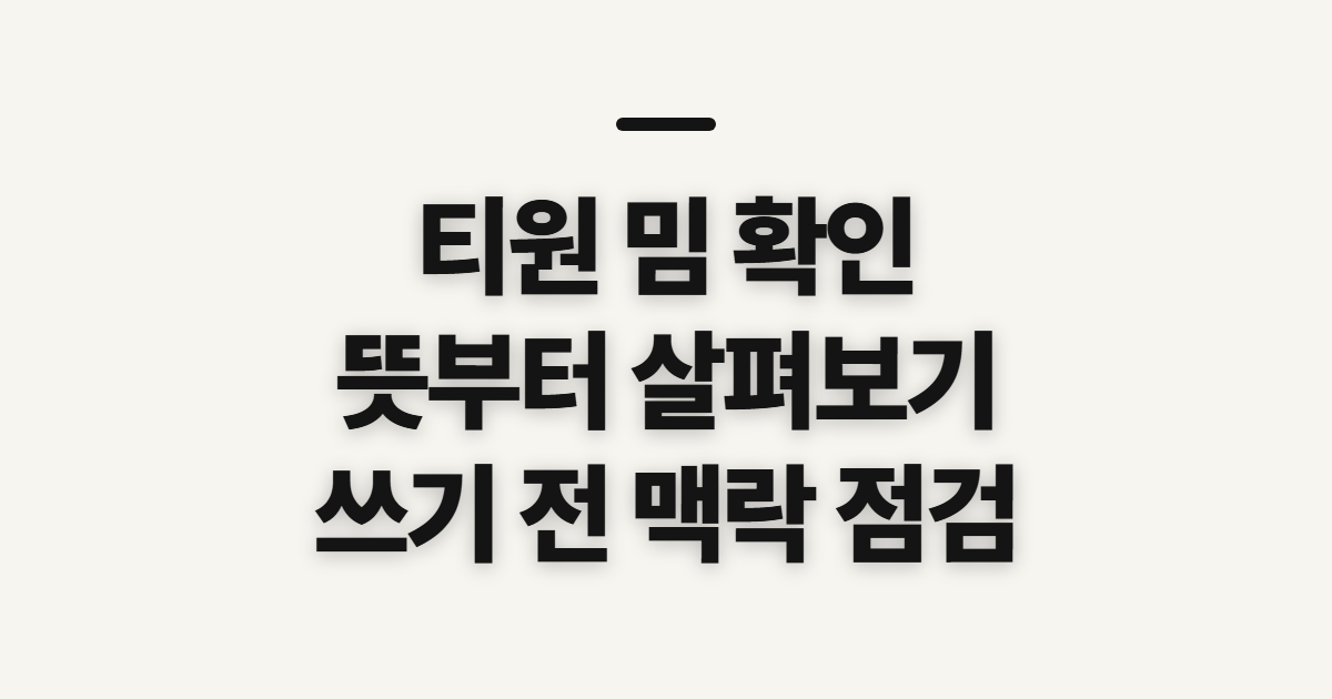 티원 밈, 뜻과 쓰임을 확인하기 전 살필 점