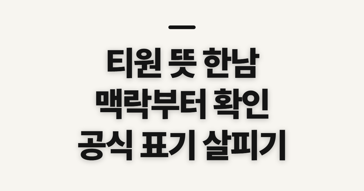 티원 뜻 한남 방법, 표현의 맥락과 확인 순서