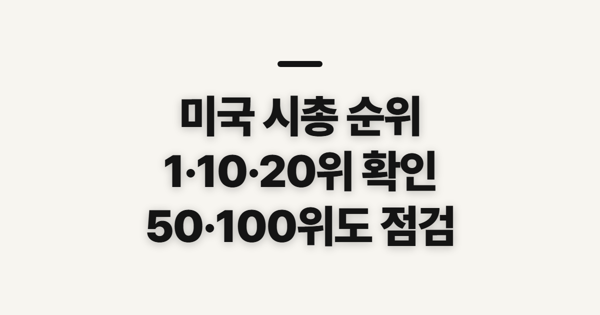 미국 시총 순위, 1·10·20·50·100위 비교 전 볼 기준