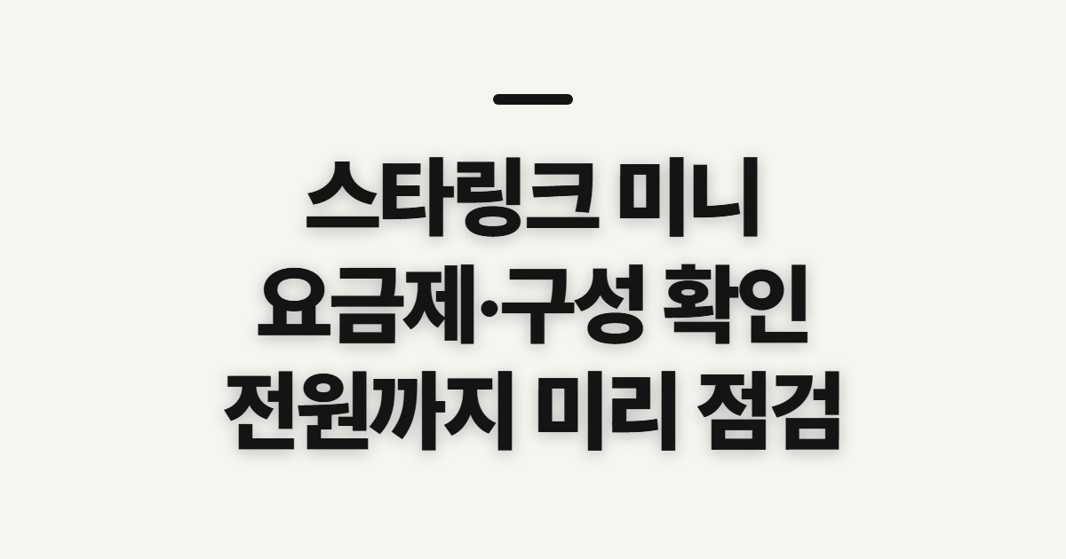 스타링크 미니 캠핑·차박용 위성 인터넷, 요금제와 구성 확인