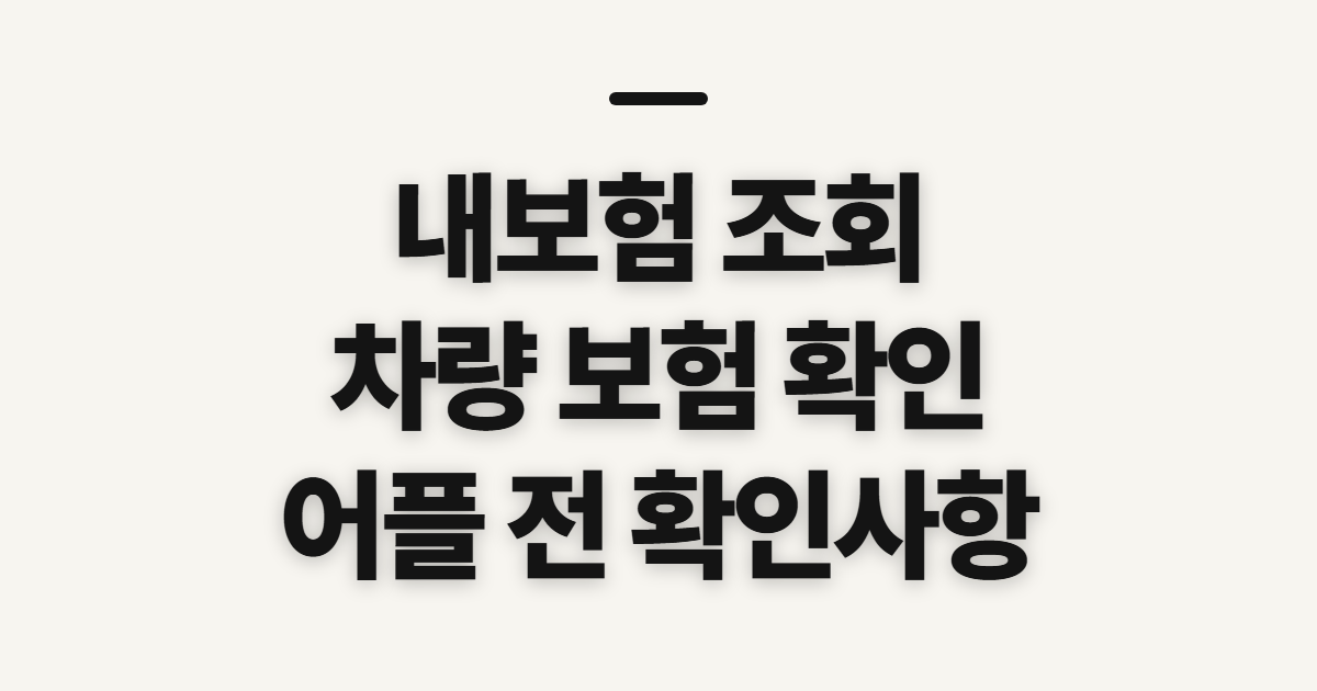 내보험 조회, 차량 보험 어플 확인 전 챙길 정보