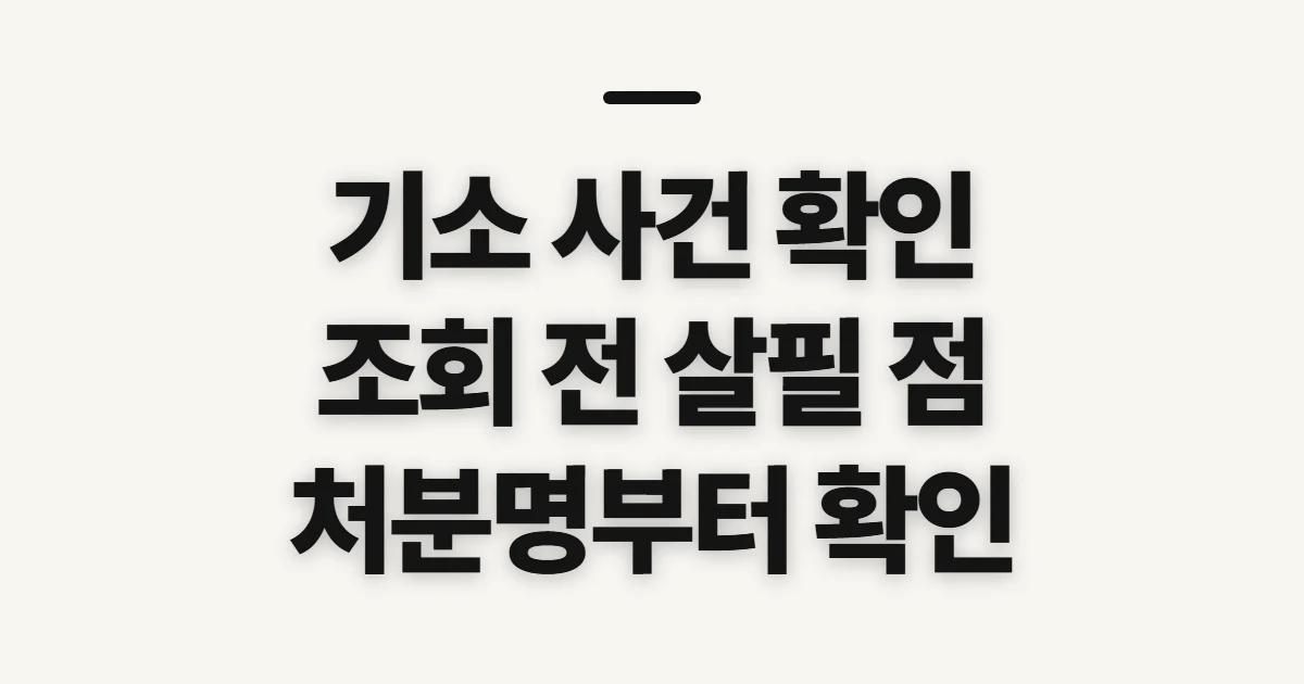 기소, 처분과 사건 상태를 확인하기 전 살필 점