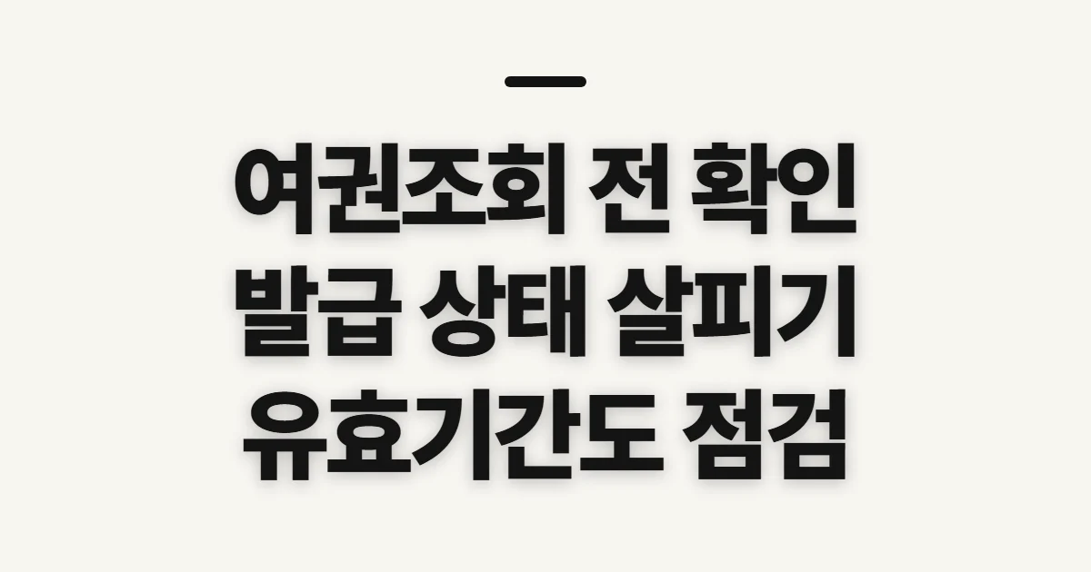 여권조회, 발급 상태와 유효기간 확인 전 챙길 정보