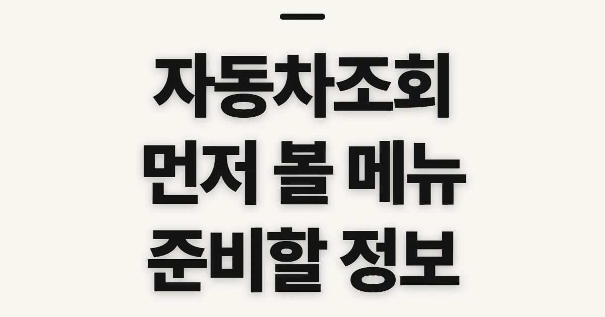 자동차조회, 확인 항목과 신청 전 준비 정보