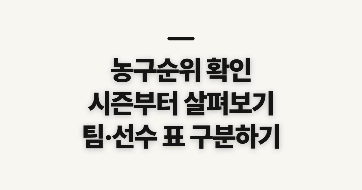 농구순위, 최신 팀·선수 기록을 비교하기 전 확인할 점