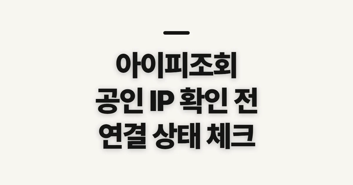 아이피조회, 내 공인 IP와 네트워크 정보 확인 전 체크