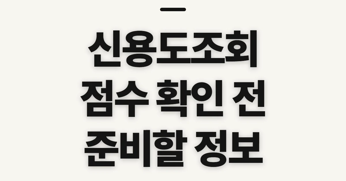 신용도조회, 점수 확인 전 준비할 정보