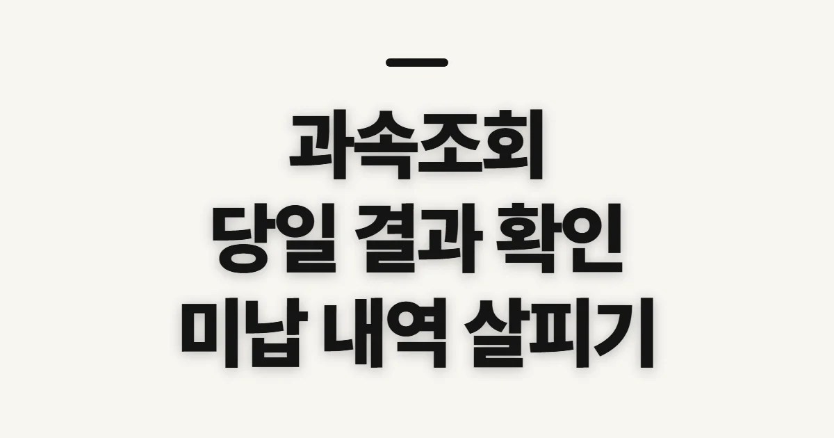 과속조회, 단속 여부와 미납 내역 확인 전 살필 것